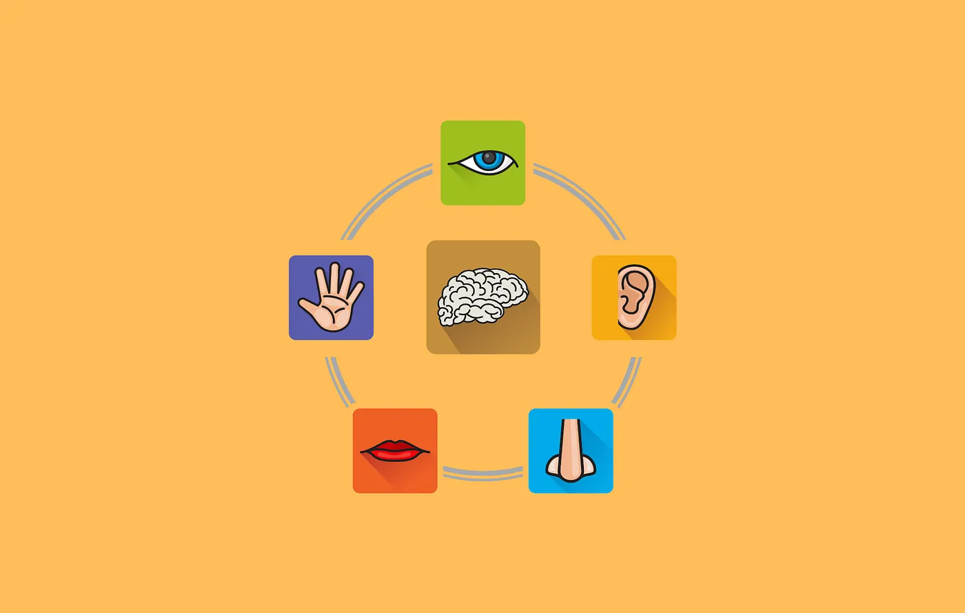 بازاریابی حسی؛ کلید خلق تجربه های عمیق و ماندگار برای برندها